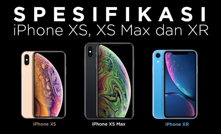 beda iphone x dan xr